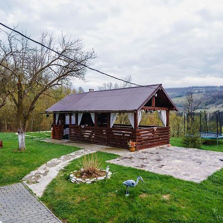 Pensiunea Nituca Мойсей Экстерьер фото