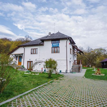 Pensiunea Nituca Мойсей Экстерьер фото
