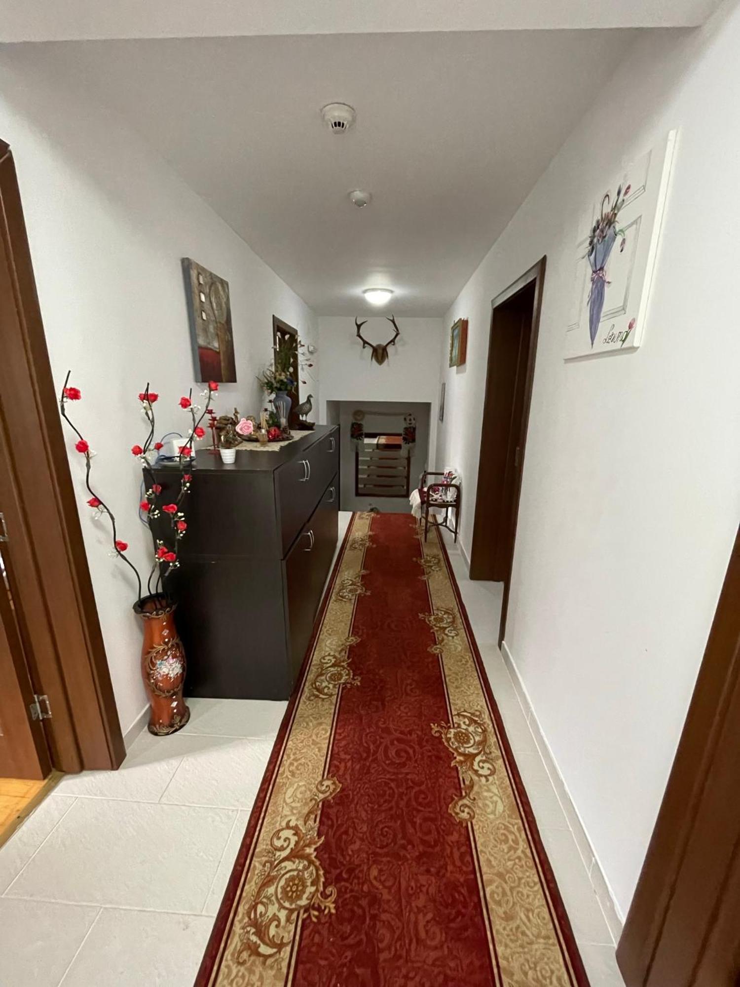 Pensiunea Nituca Мойсей Экстерьер фото