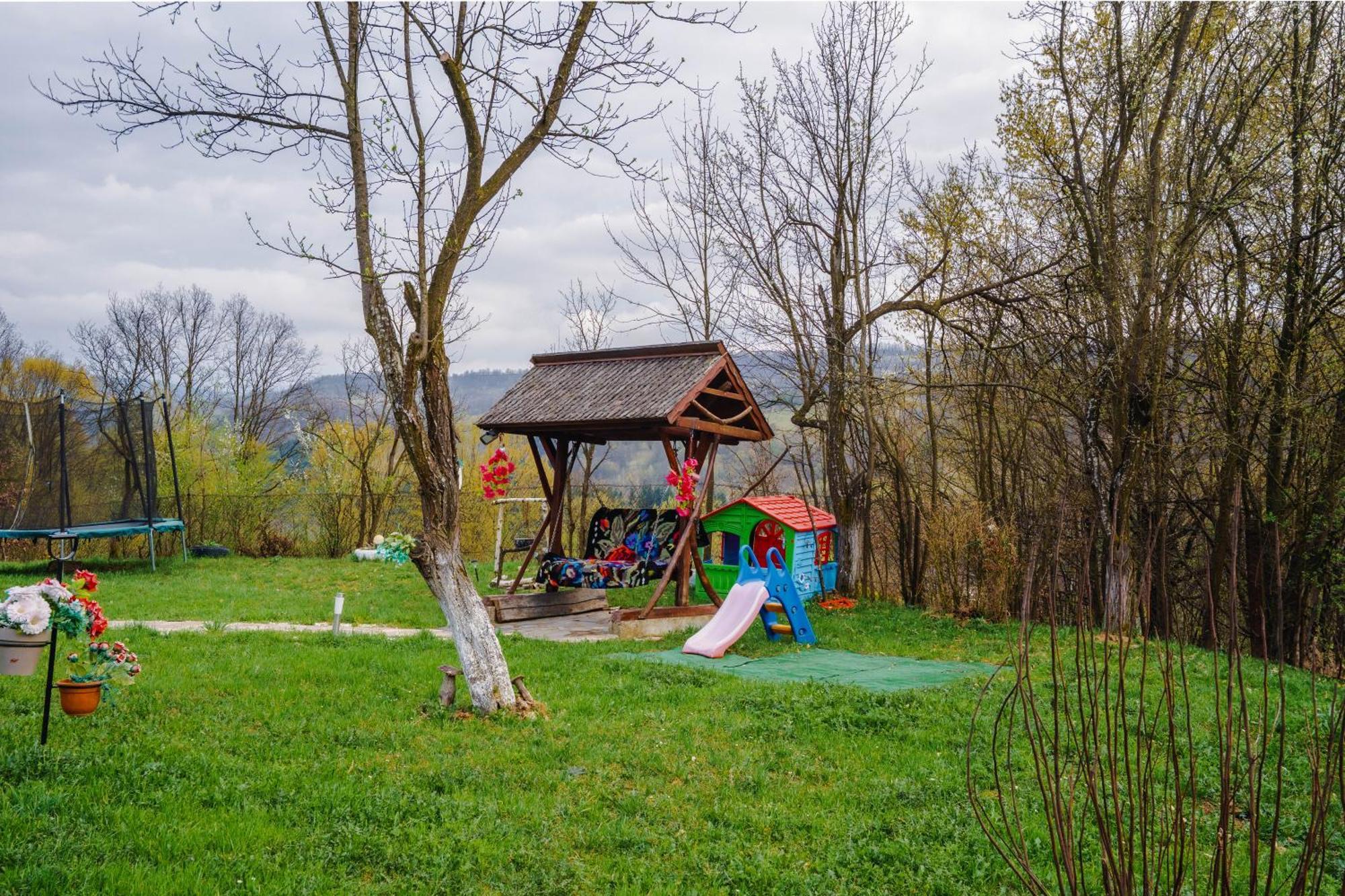 Pensiunea Nituca Мойсей Экстерьер фото