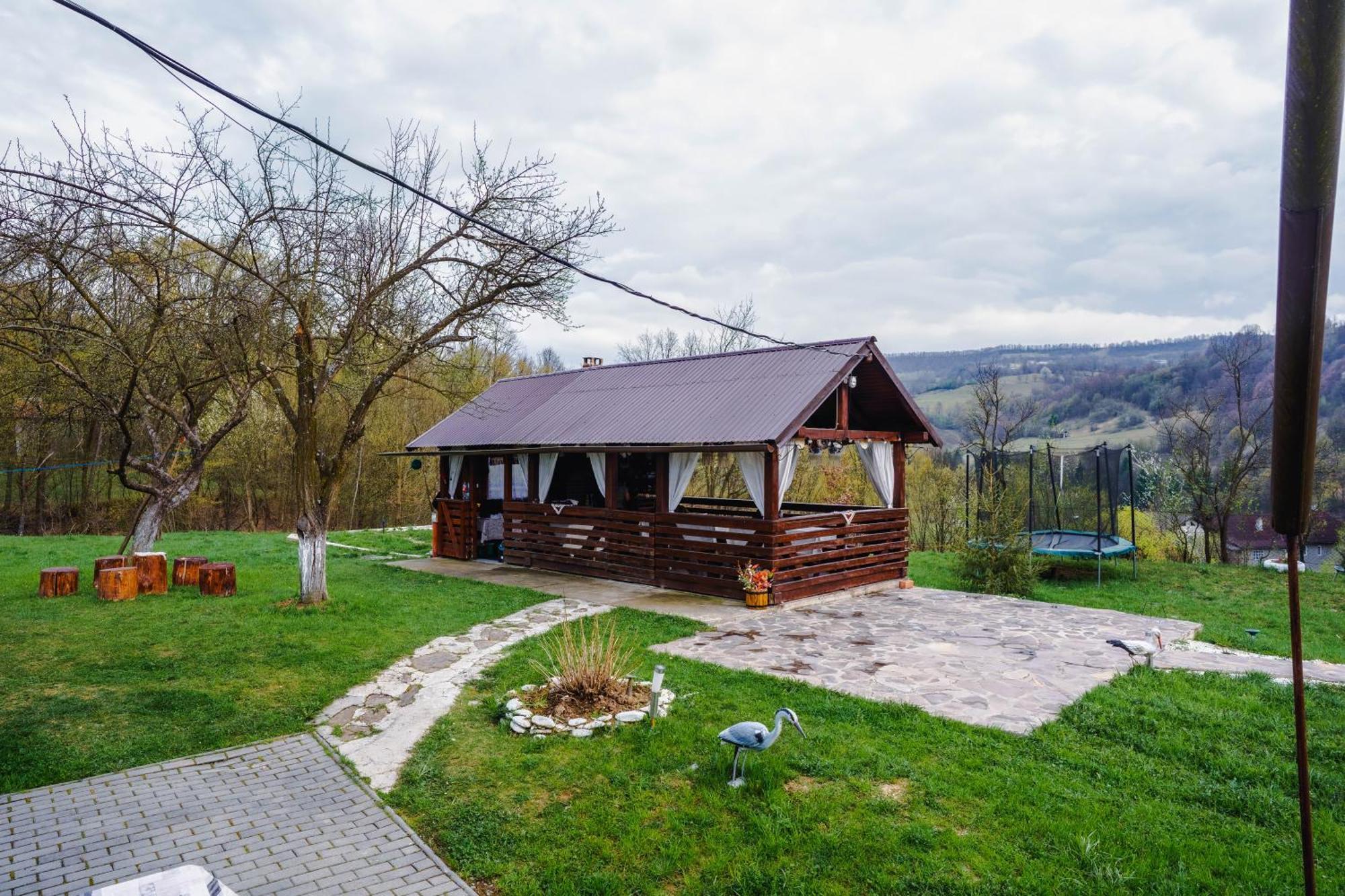 Pensiunea Nituca Мойсей Экстерьер фото