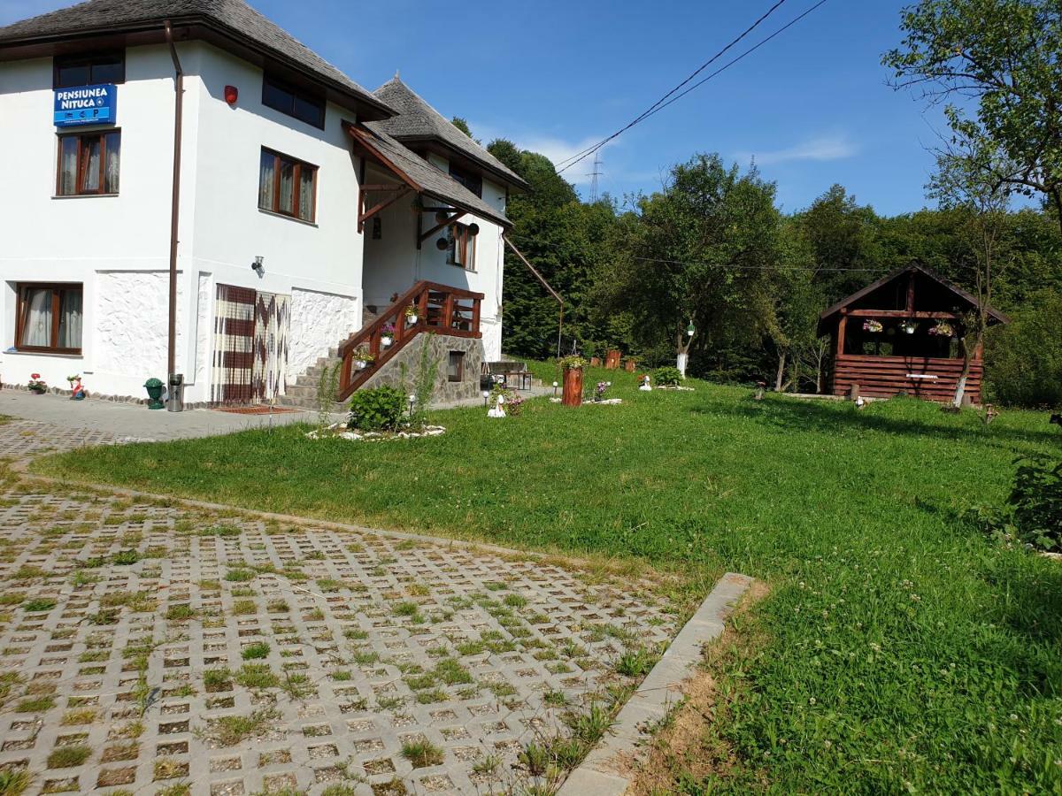 Pensiunea Nituca Мойсей Экстерьер фото